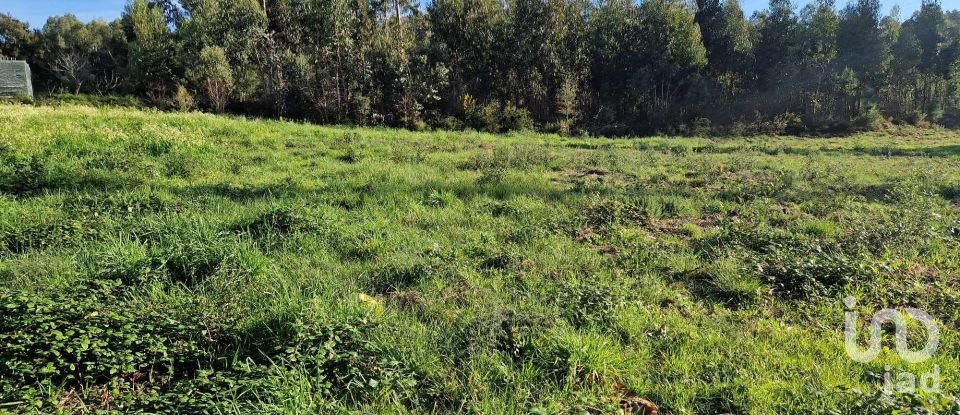 Terrain à Leiria, Pousos, Barreira e Cortes de 4 900 m²