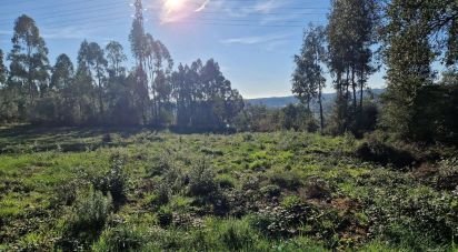 Terrain à Leiria, Pousos, Barreira e Cortes de 4 900 m²