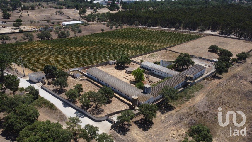 Land in Quinta do Anjo of 18,000 m²