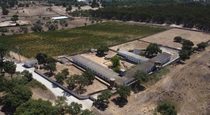 Land in Quinta do Anjo of 18,000 m²