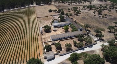 Terrain à Quinta do Anjo de 18 000 m²