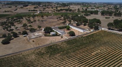 Terrain à Quinta do Anjo de 18 000 m²