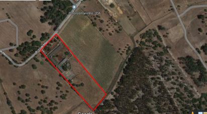 Terrain à Quinta do Anjo de 18 000 m²