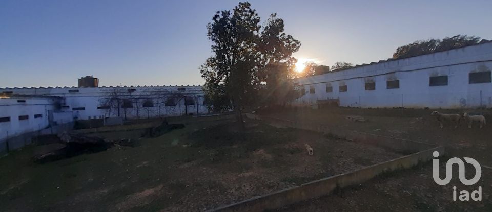 Land in Quinta do Anjo of 18,000 m²