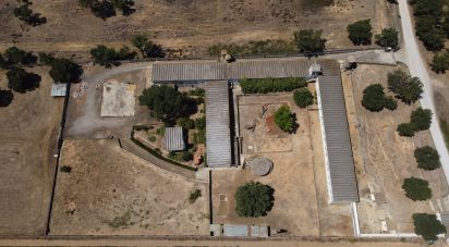 Terrain à Quinta do Anjo de 18 000 m²