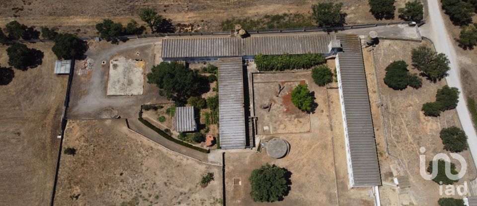 Land in Quinta do Anjo of 18,000 m²