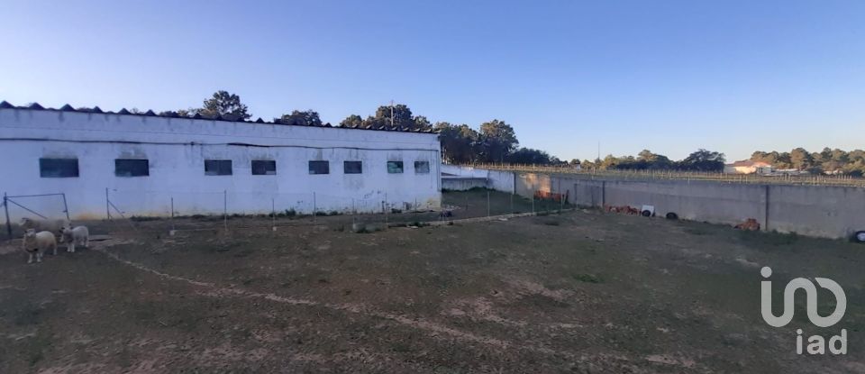 Land in Quinta do Anjo of 18,000 m²