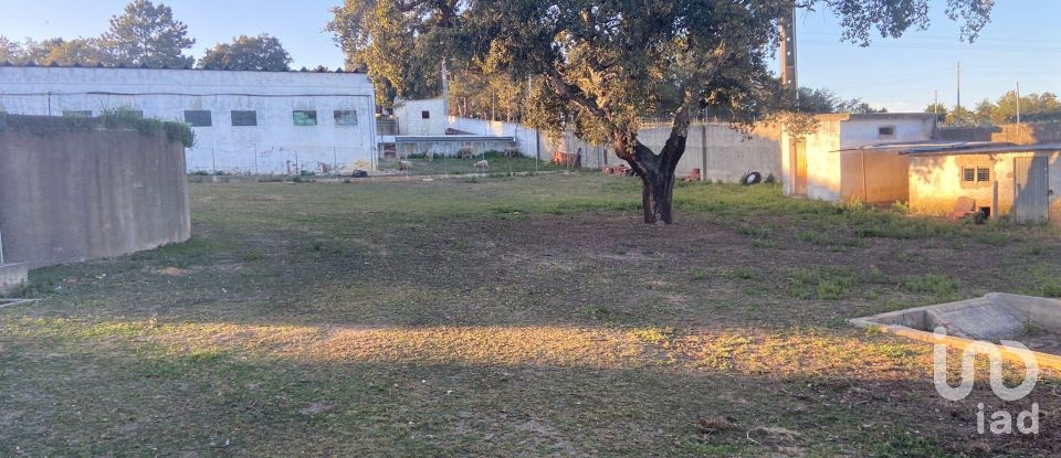 Land in Quinta do Anjo of 18,000 m²