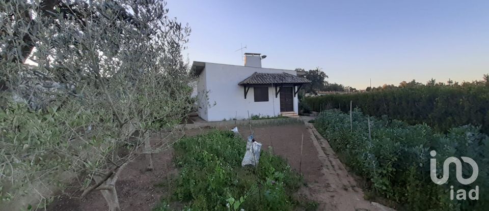 Land in Quinta do Anjo of 18,000 m²