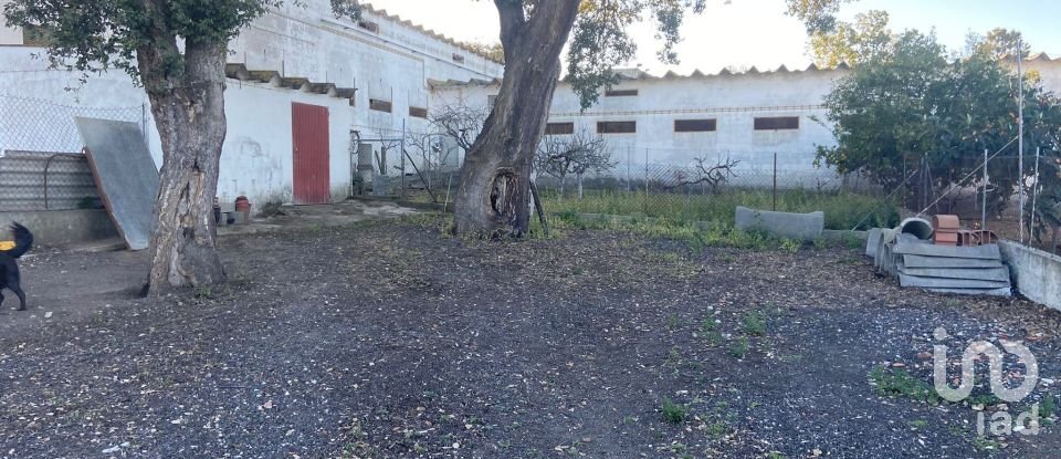 Land in Quinta do Anjo of 18,000 m²