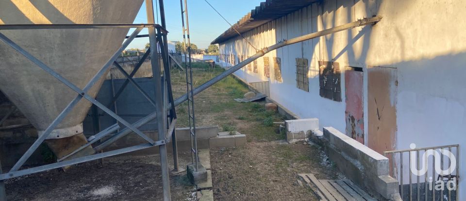 Land in Quinta do Anjo of 18,000 m²