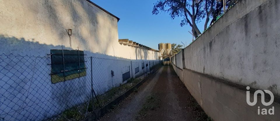 Land in Quinta do Anjo of 18,000 m²