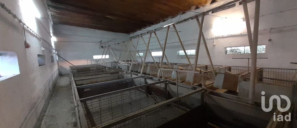 Land in Quinta do Anjo of 18,000 m²