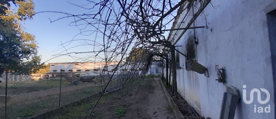 Land in Quinta do Anjo of 18,000 m²