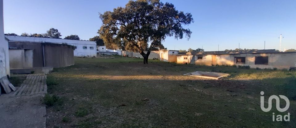 Land in Quinta do Anjo of 18,000 m²