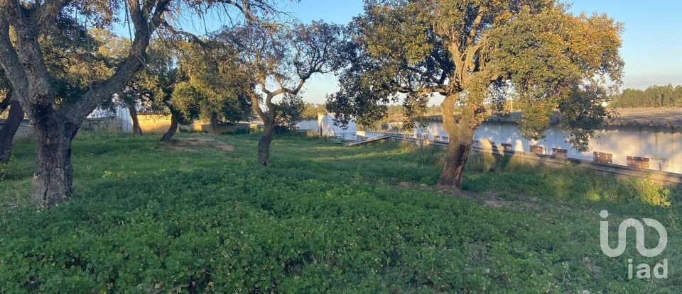 Land in Quinta do Anjo of 18,000 m²