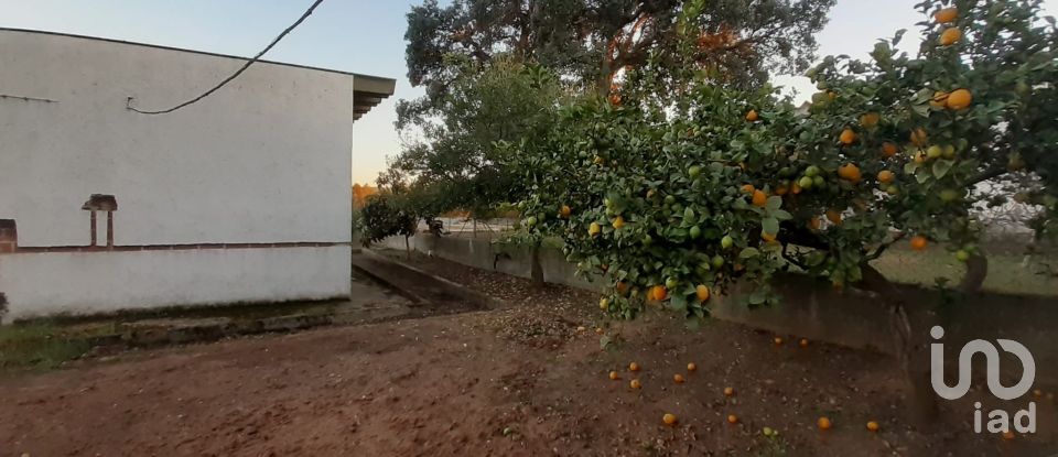 Land in Quinta do Anjo of 18,000 m²