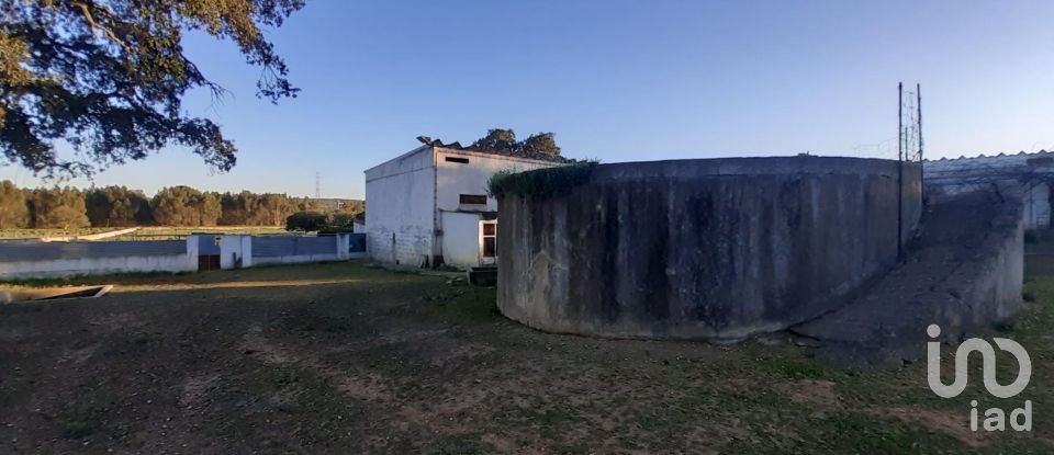 Land in Quinta do Anjo of 18,000 m²