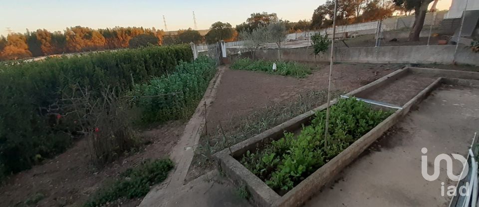 Land in Quinta do Anjo of 18,000 m²