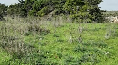 Land in Budens of 9,880 m²