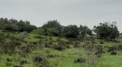 Land in Budens of 9,880 m²