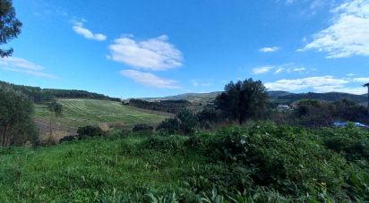 Terrain à Vilar de 6 520 m²