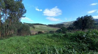 Terrain à Vilar de 6 520 m²