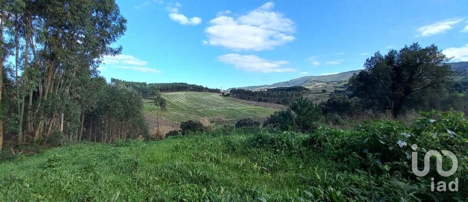 Land in Vilar of 6,520 m²