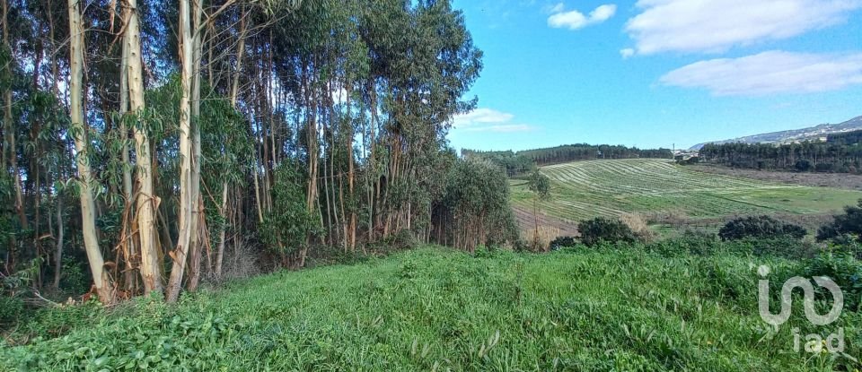 Land in Vilar of 6,520 m²