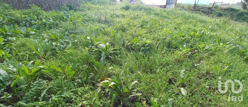 Land in Vilar of 6,520 m²