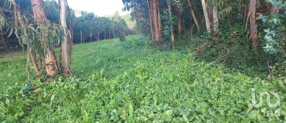 Land in Vilar of 6,520 m²