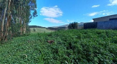 Terrain à Vilar de 6 520 m²