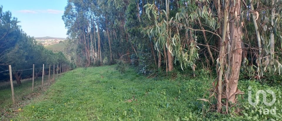 Land in Vilar of 6,520 m²