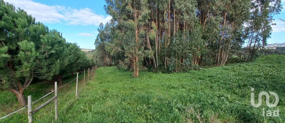 Land in Vilar of 6,520 m²
