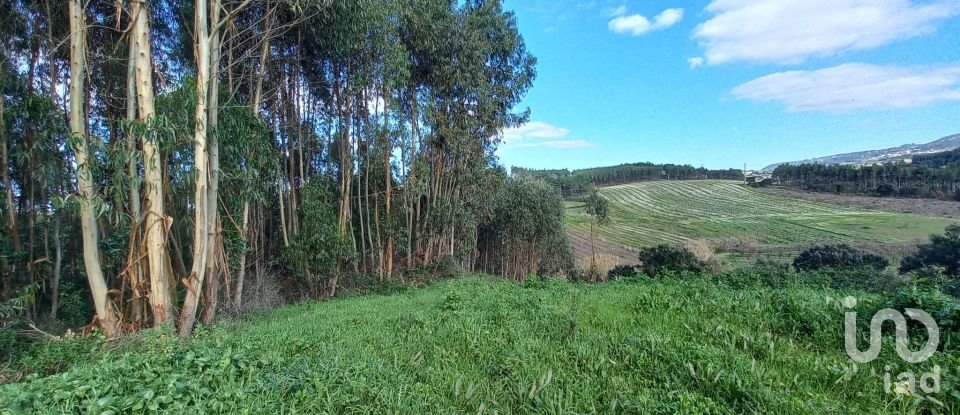 Land in Vilar of 6,520 m²