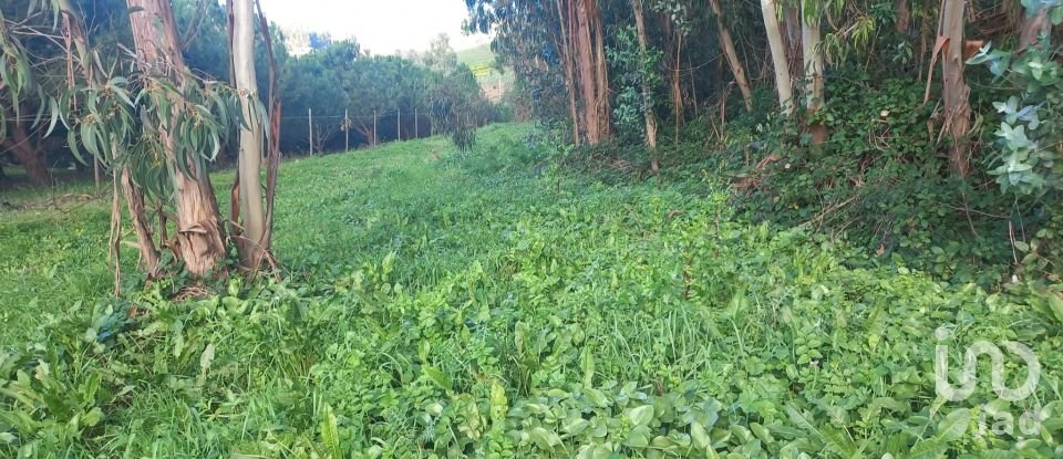 Land in Vilar of 6,520 m²