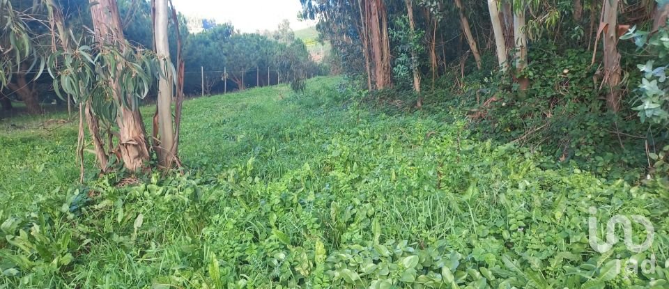 Land in Vilar of 6,520 m²