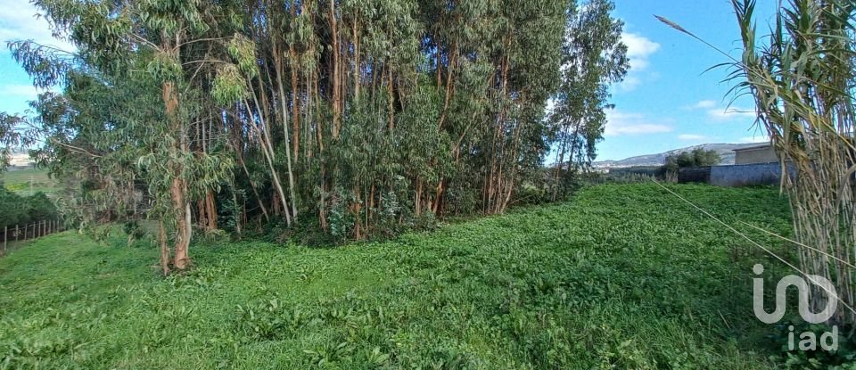 Land in Vilar of 6,520 m²