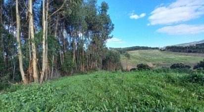 Terrain à Vilar de 6 520 m²