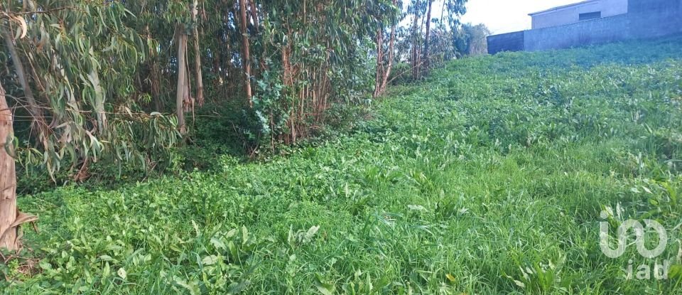 Land in Vilar of 6,520 m²