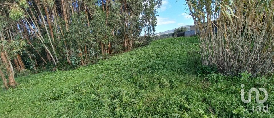 Land in Vilar of 6,520 m²