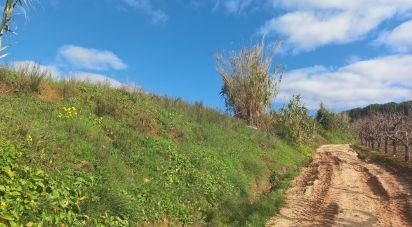 Land in Vilar of 4,720 m²