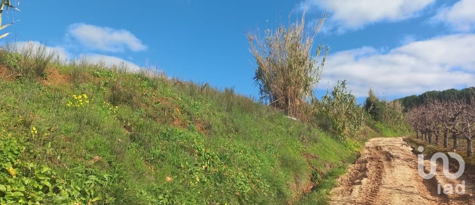 Terreno em Vilar de 4 720 m²