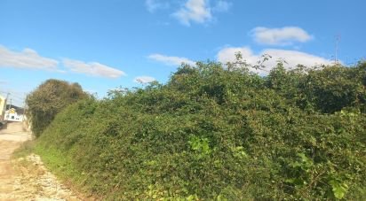 Land in Vilar of 4,720 m²