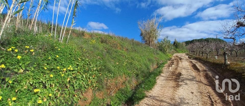 Terreno em Vilar de 4 720 m²