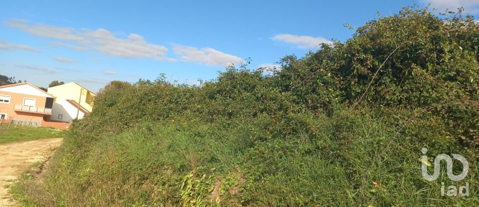 Terreno em Vilar de 4 720 m²