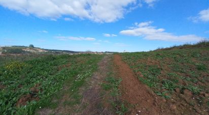 Land in Vilar of 4,720 m²