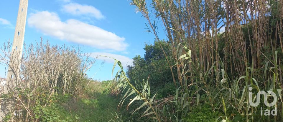 Terreno em Vilar de 4 720 m²