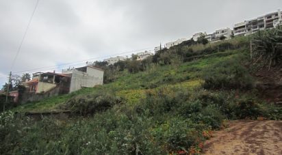 Terrain à Funchal (Santa Maria Maior) de 5 090 m²