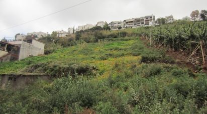 Terrain à Funchal (Santa Maria Maior) de 5 090 m²